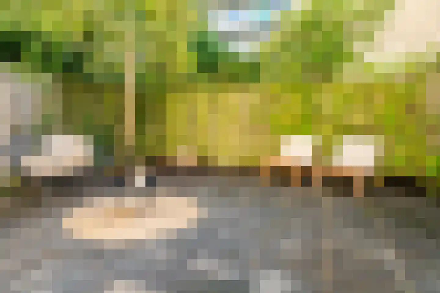 Ruyschstraat 82 H Amsterdam thumbnail 5