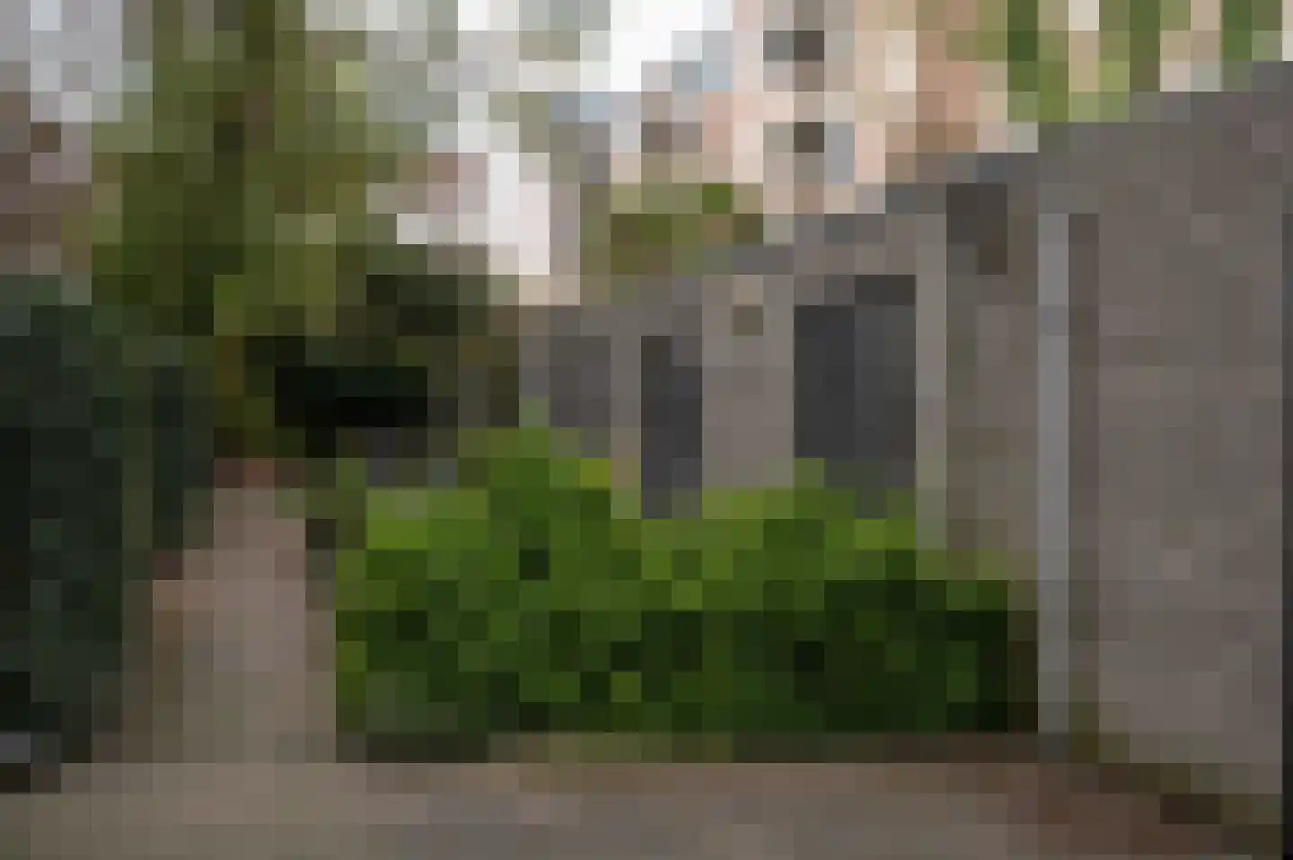 Ruyschstraat 87 K Amsterdam thumbnail 33