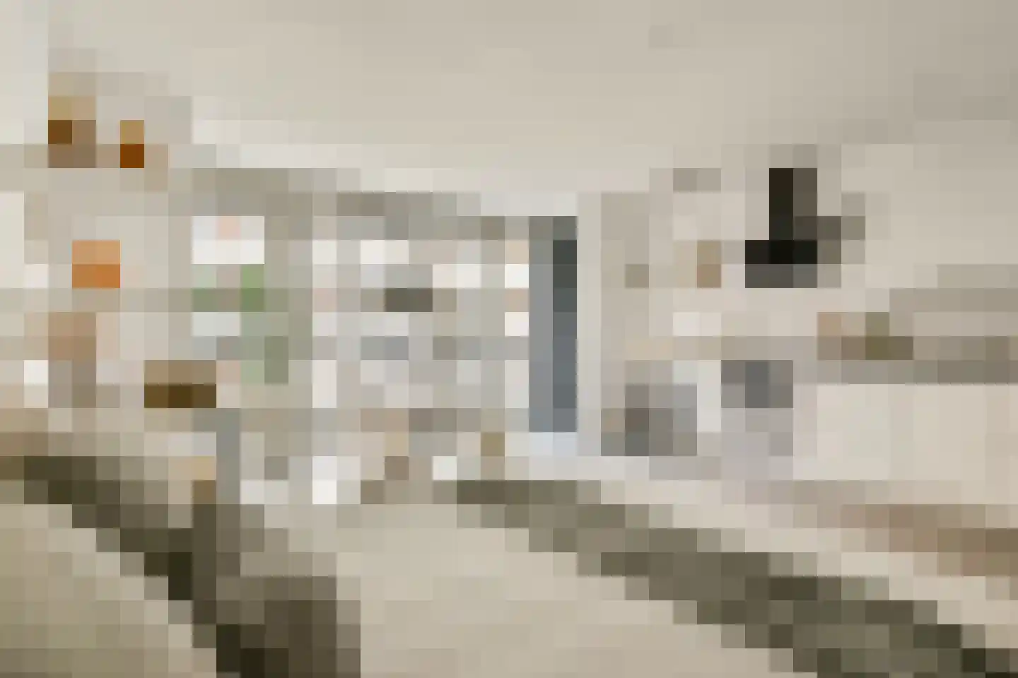 Ruyschstraat 97 C Amsterdam thumbnail 6