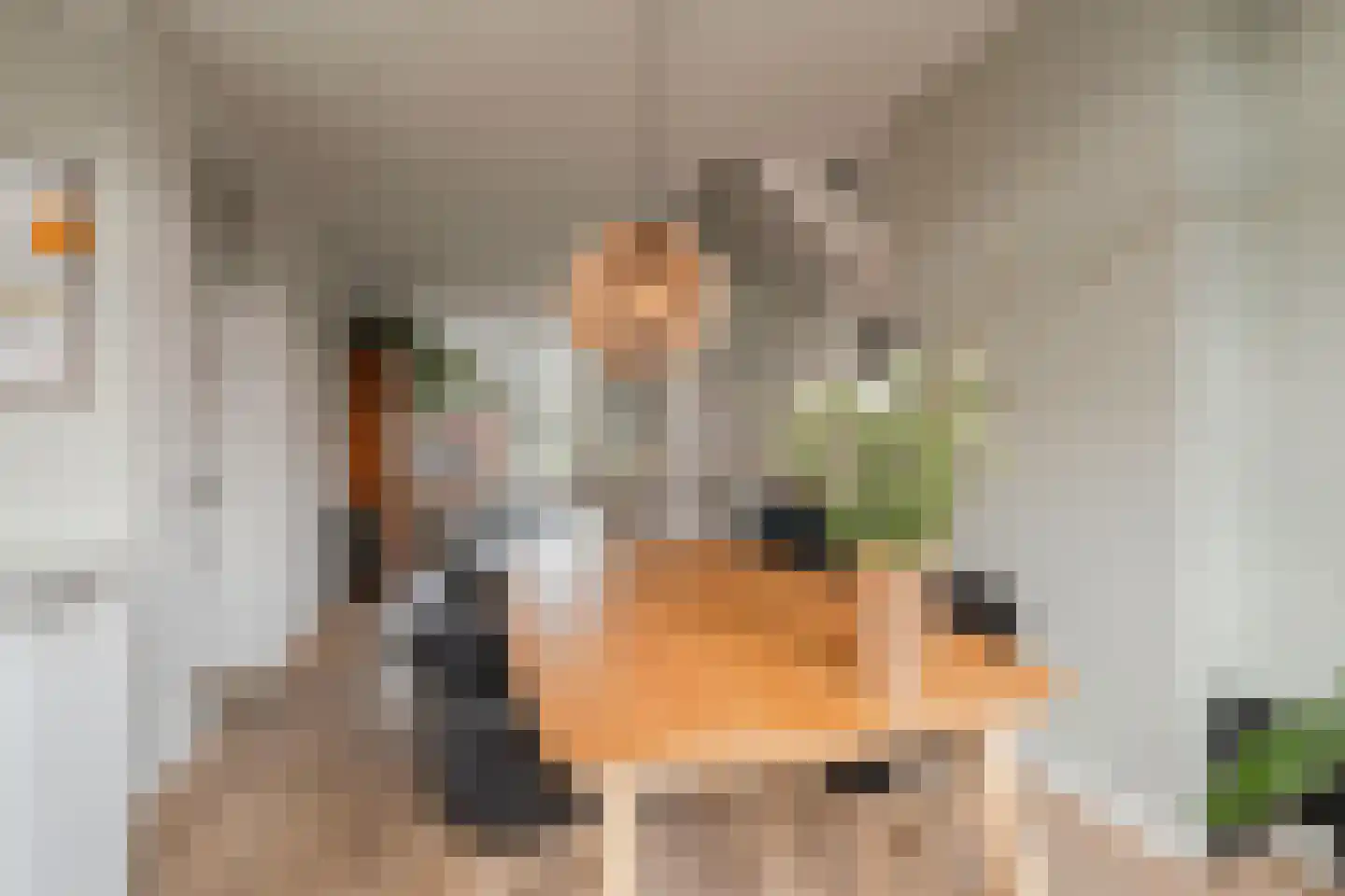 Ruyschstraat 98 H Amsterdam thumbnail 19