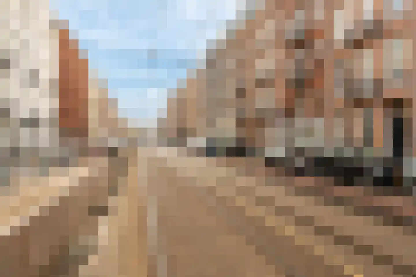 Ruyschstraat 98 H Amsterdam thumbnail 34