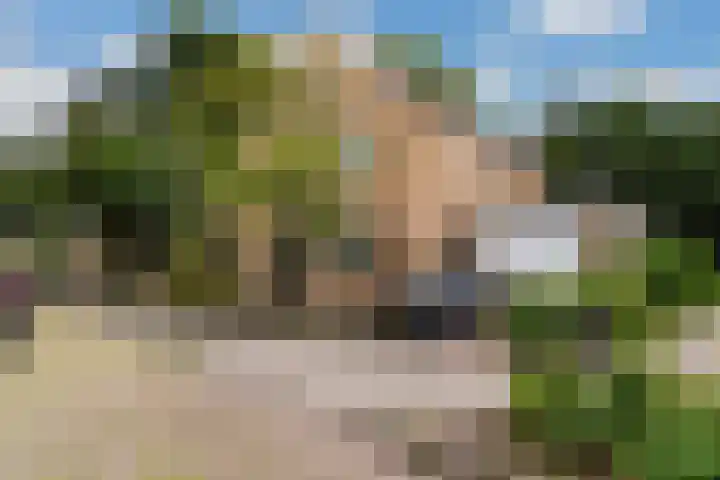 Ruysdael 80 in Monster