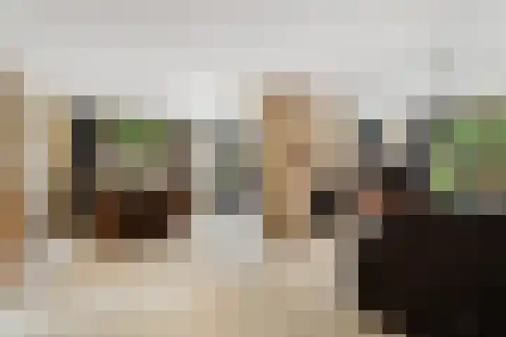 Ruysdael 80 Monster thumbnail 12