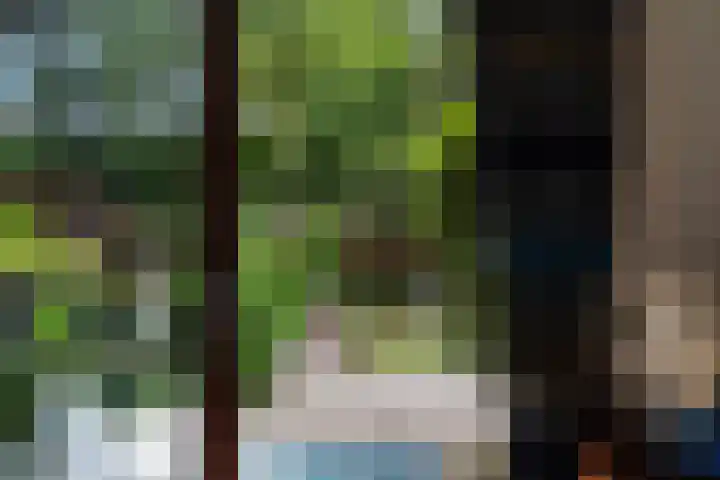 Ruysdael 80 Monster thumbnail 15