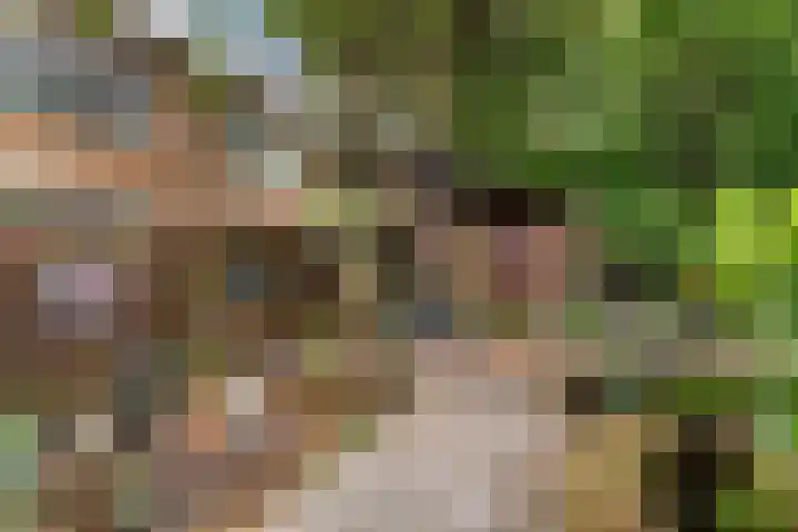Ruysdael 80 Monster thumbnail 20