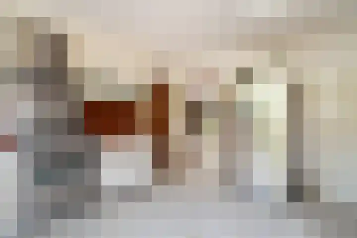 Ruysdael 80 Monster thumbnail 22