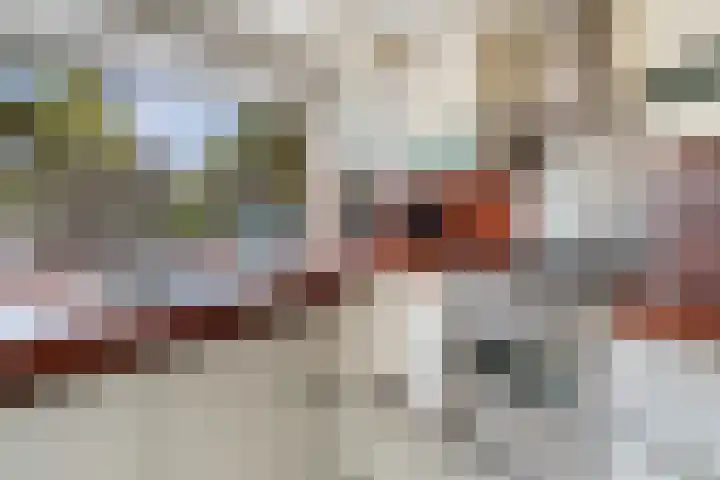 Ruysdael 80 Monster thumbnail 24