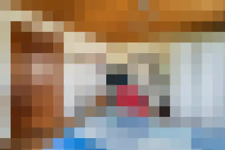 Ruysdael 80 Monster thumbnail 38