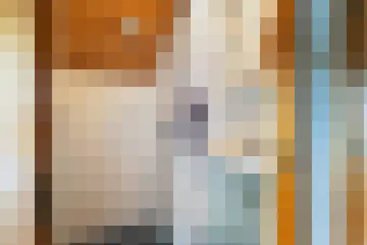 Ruysdael 80 Monster thumbnail 43