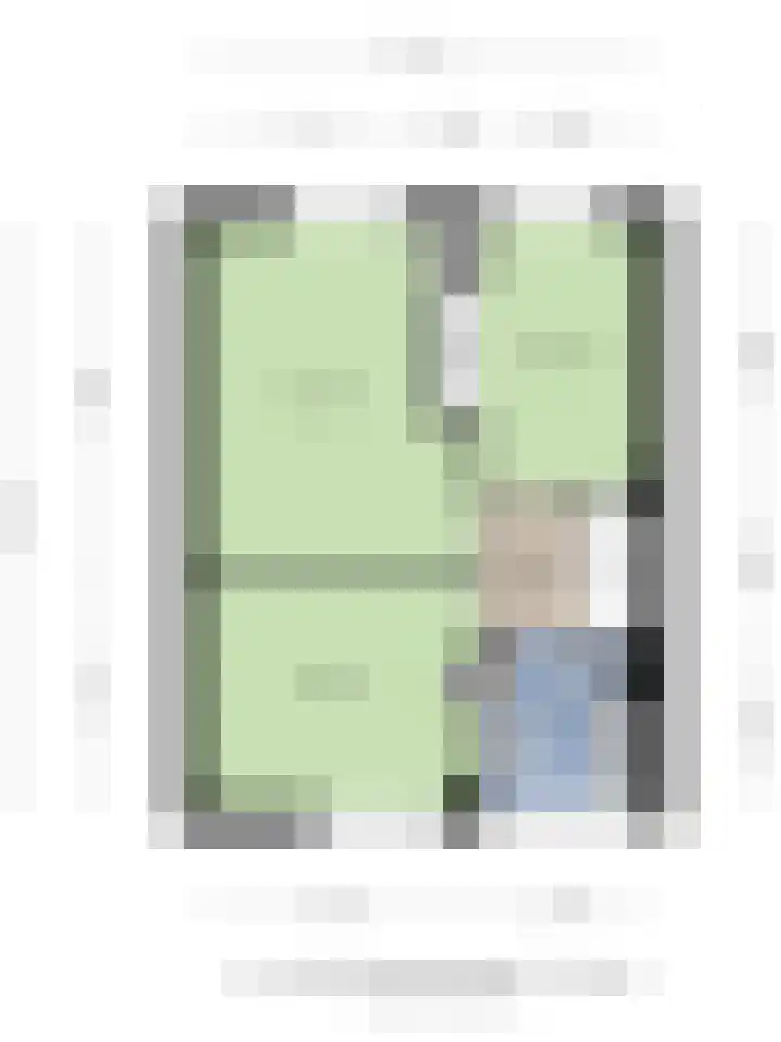 Ruysdael 80 Monster thumbnail 45