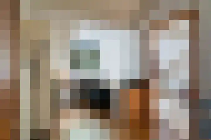 Ruysdael 80 Monster thumbnail 46