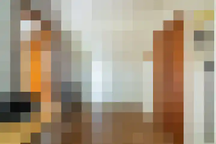 Ruysdael 80 Monster thumbnail 47