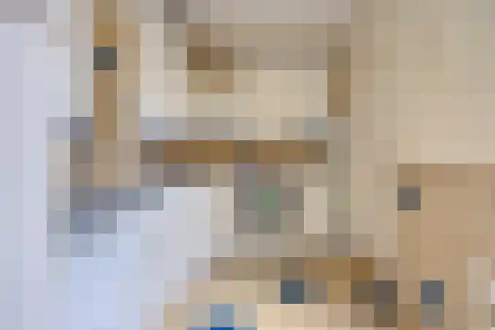 Ruysdael 80 Monster thumbnail 52