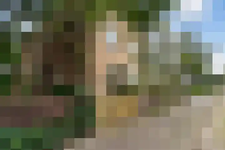 Ruysdael 80 Monster thumbnail 53