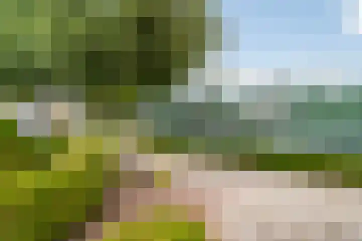 Ruysdael 80 Monster thumbnail 54