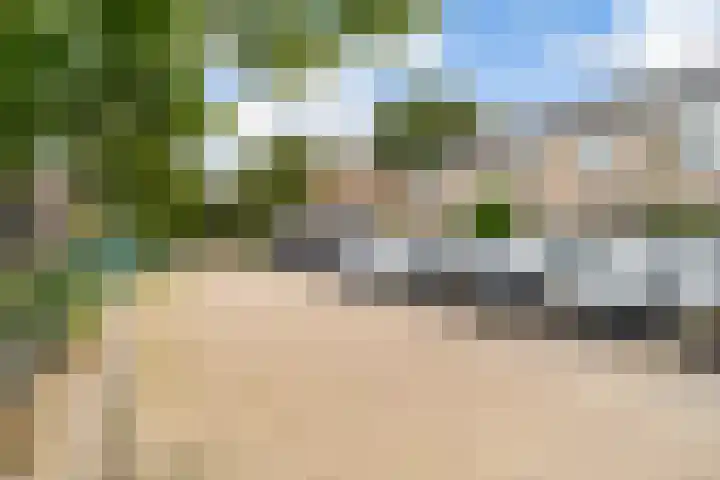Ruysdael 80 Monster thumbnail 55