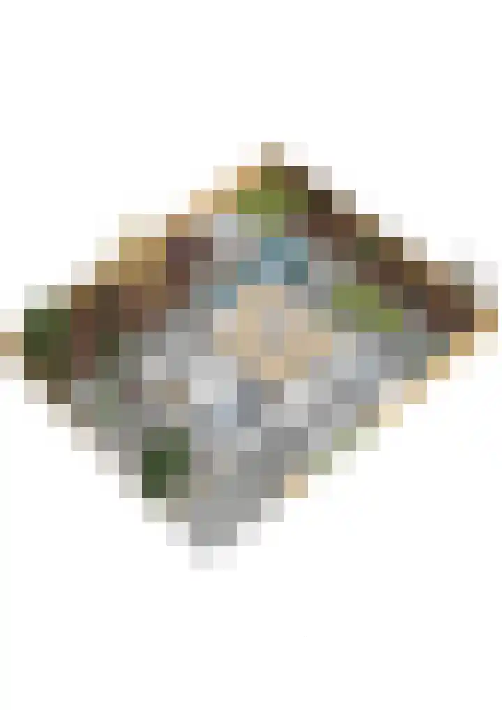 Ruysdael 80 Monster thumbnail 57