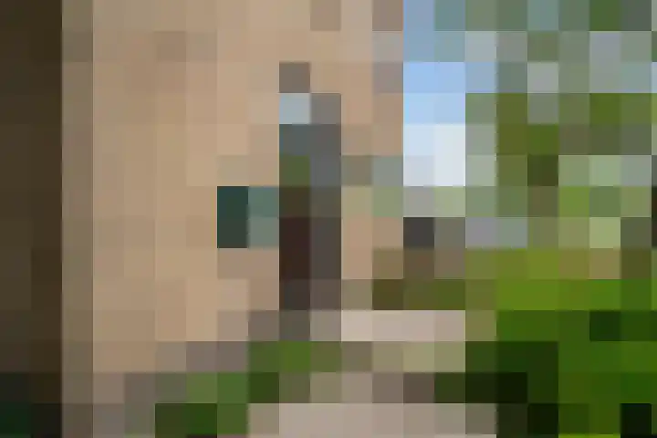 Ruysdael 80 Monster thumbnail 7