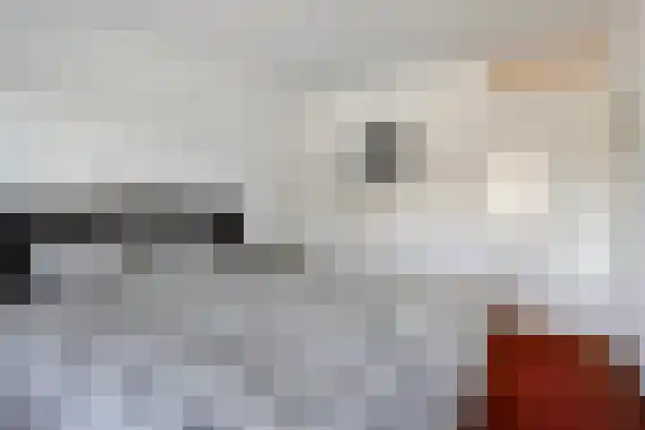 Ruysdael 80 Monster thumbnail 9