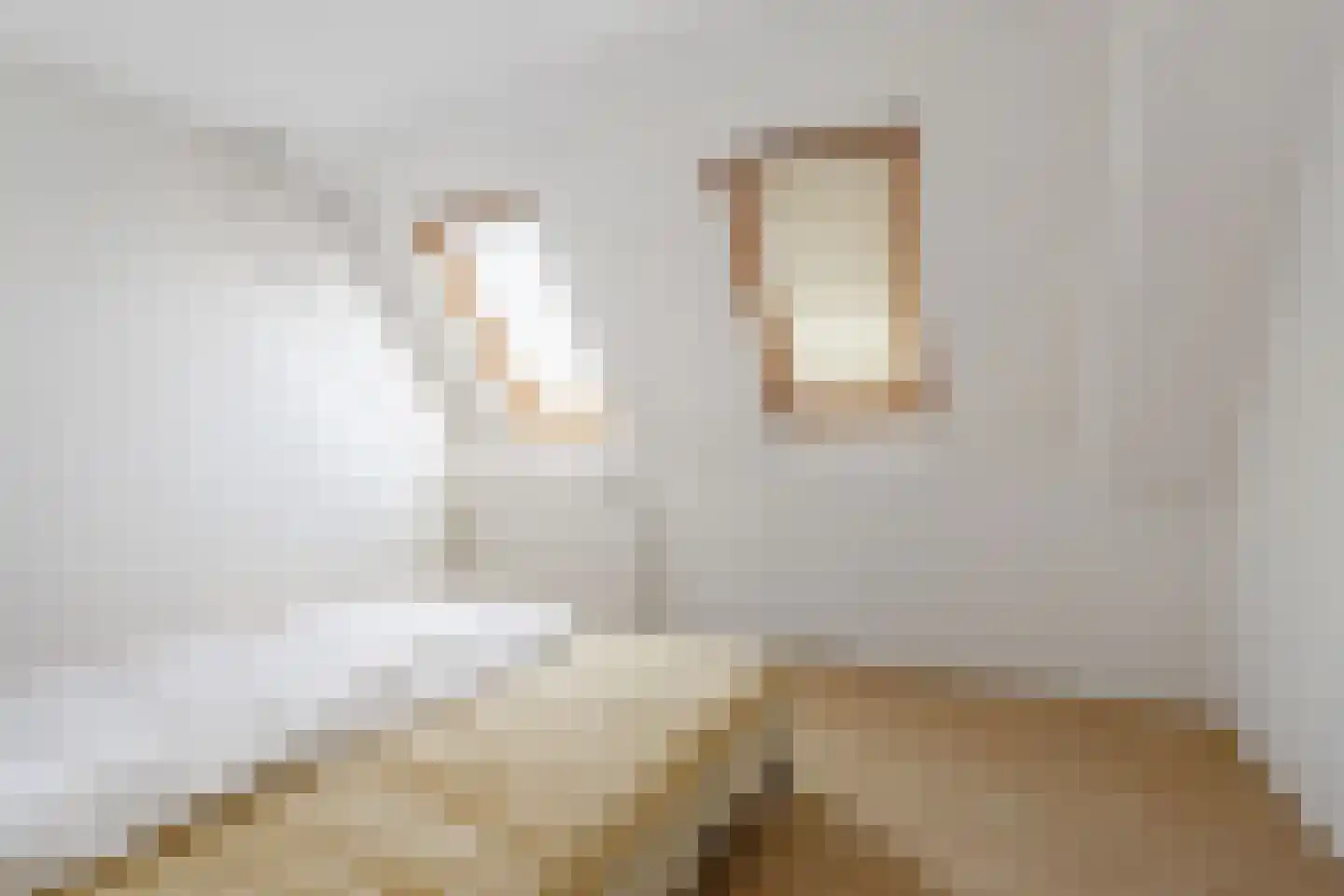 Ruysdaelhof 14 Baarn thumbnail 13