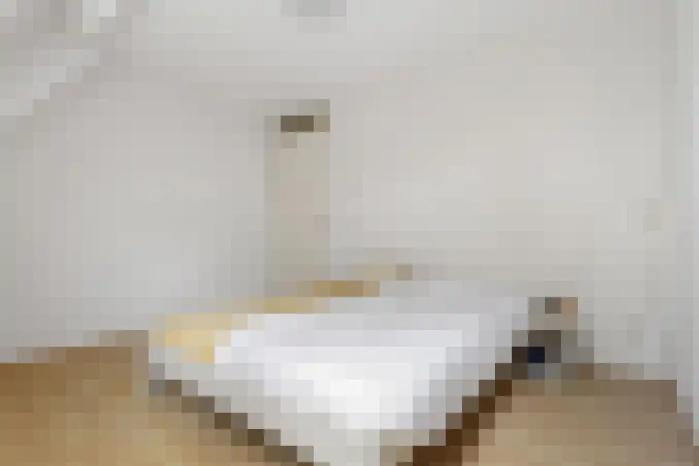 Ruysdaelhof 14 Baarn thumbnail 14