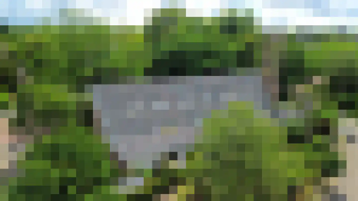 Ruysdaelhof 14 Baarn thumbnail 20