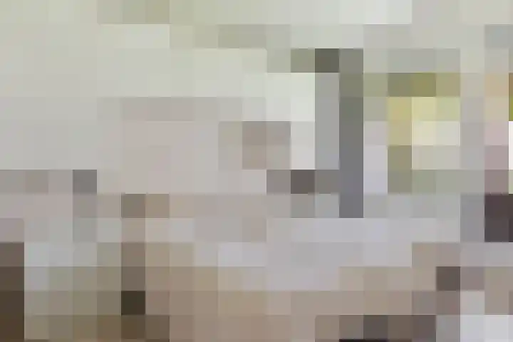 Ruysdaelhof 26 Voorschoten thumbnail 14