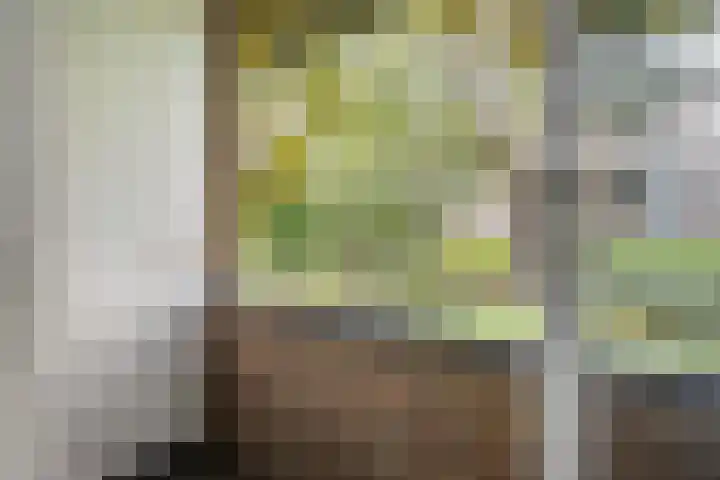Ruysdaelhof 26 Voorschoten thumbnail 15