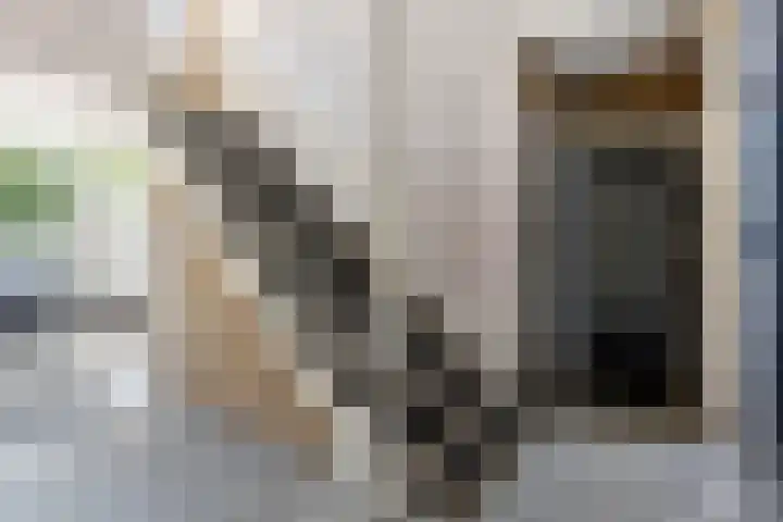 Ruysdaelhof 26 Voorschoten thumbnail 5