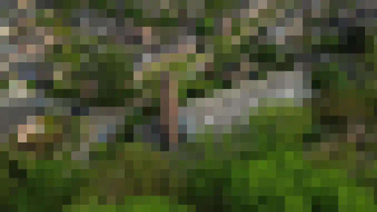 Ruysdaelhof 3 Baarn thumbnail 17