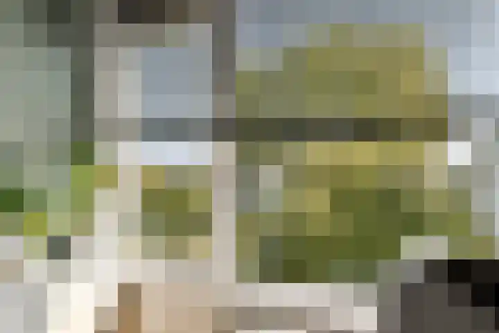 Ruysdaelhof 38 Voorschoten thumbnail 10