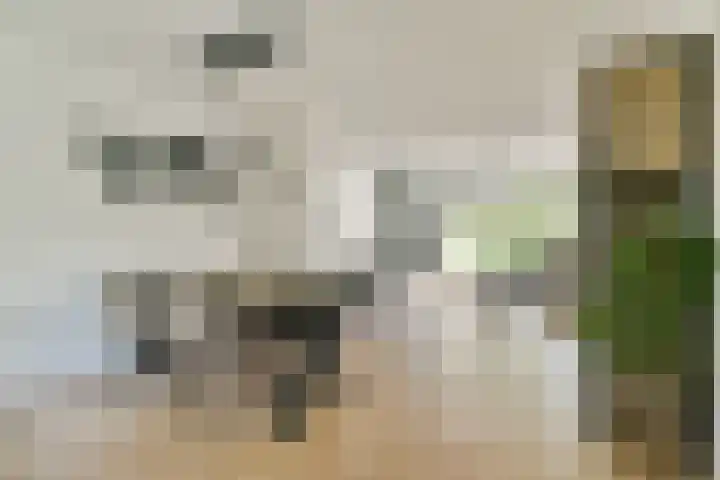 Ruysdaelhof 38 Voorschoten thumbnail 15