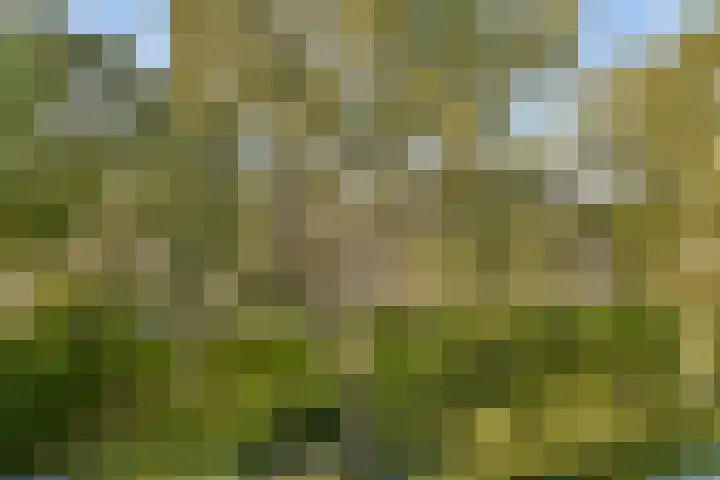 Ruysdaelhof 38 Voorschoten thumbnail 17