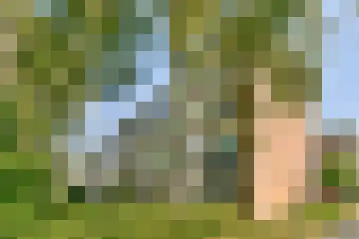 Ruysdaelhof 38 Voorschoten thumbnail 27