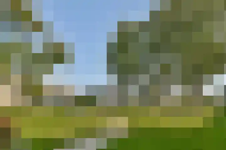 Ruysdaelhof 38 Voorschoten thumbnail 28