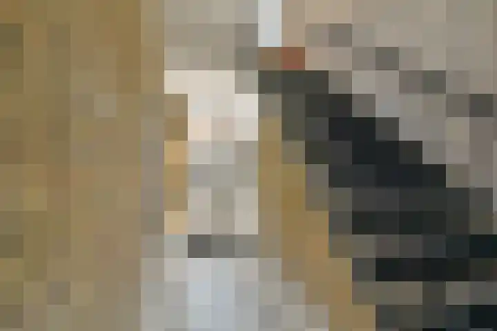 Ruysdaelhof 38 Voorschoten thumbnail 4