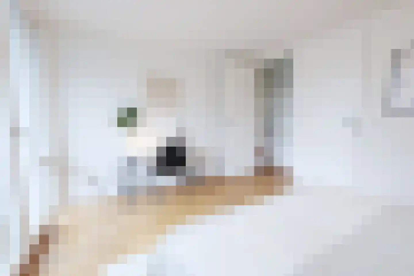 Ruysdaelkade 113 A 2 Amsterdam thumbnail 10