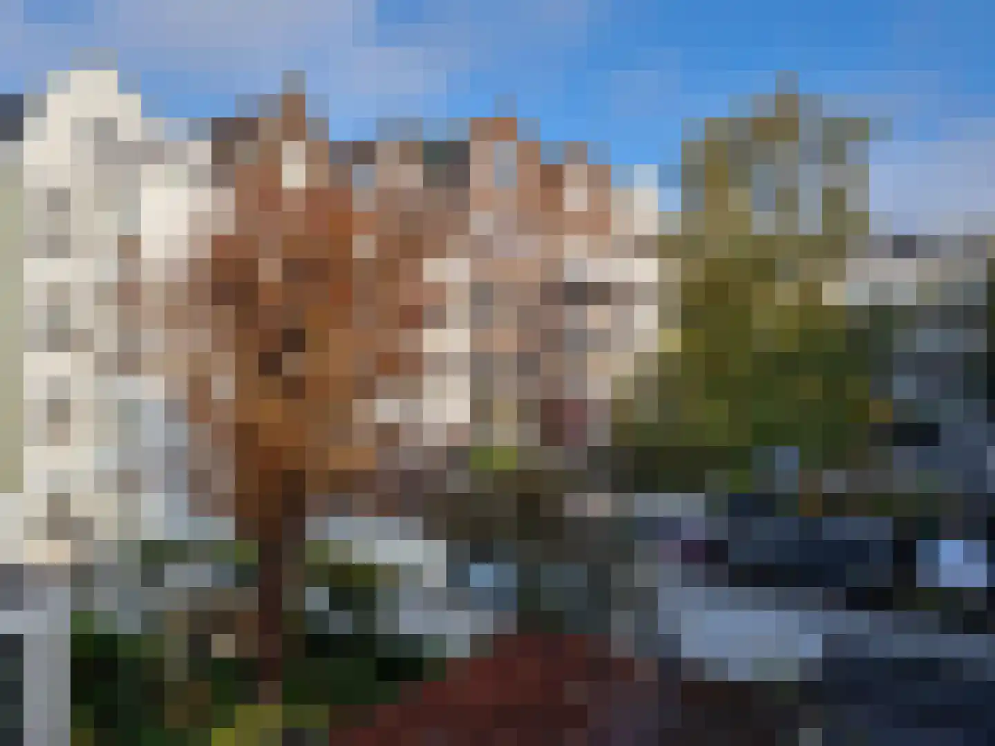Ruysdaelkade 113 A 2 Amsterdam thumbnail 12