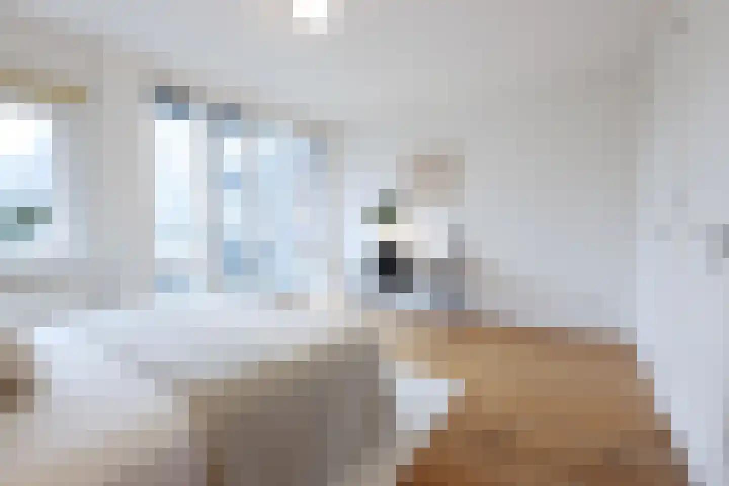 Ruysdaelkade 113 A 2 Amsterdam thumbnail 9