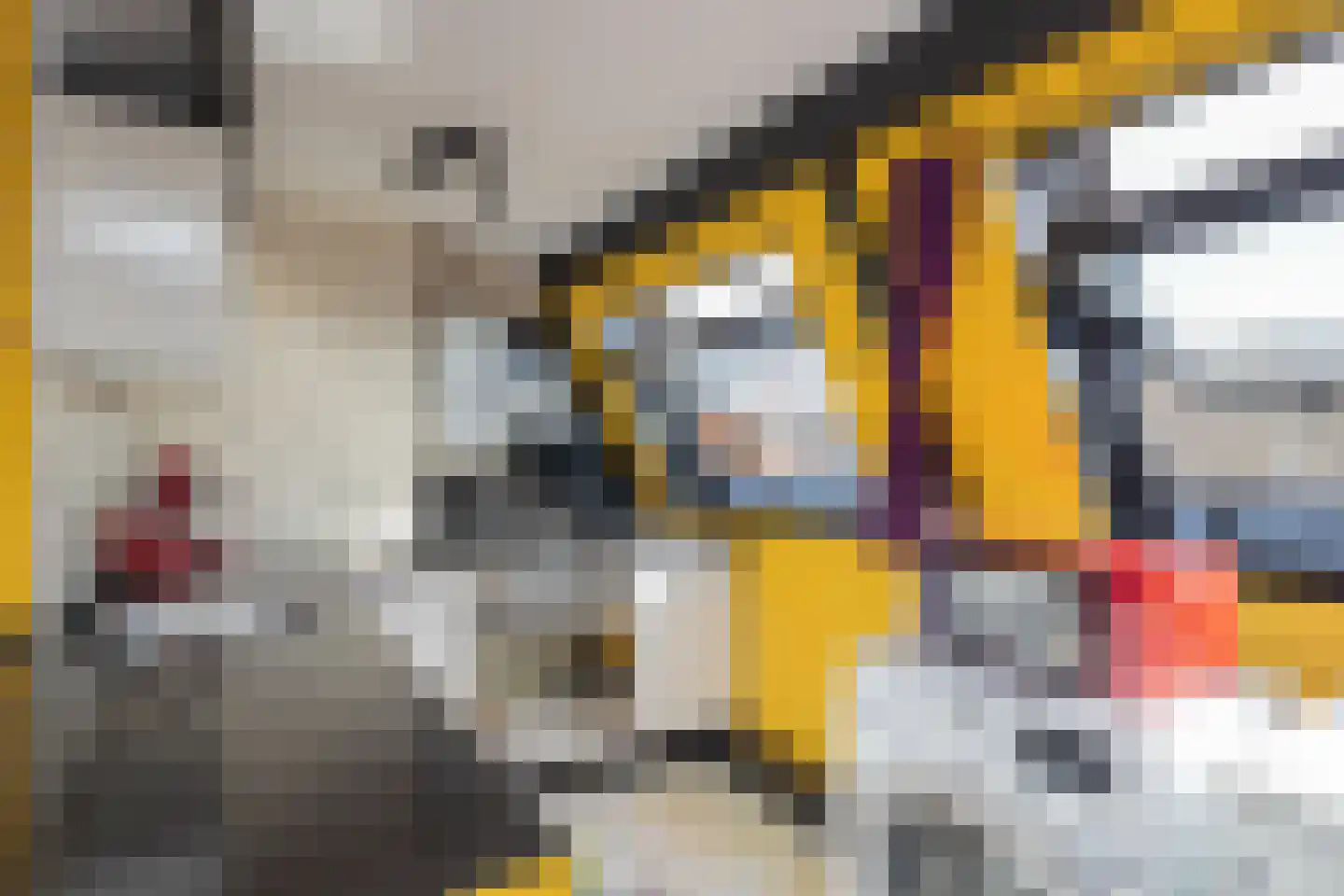 Ruysdaelkade 127 2 Amsterdam thumbnail 14