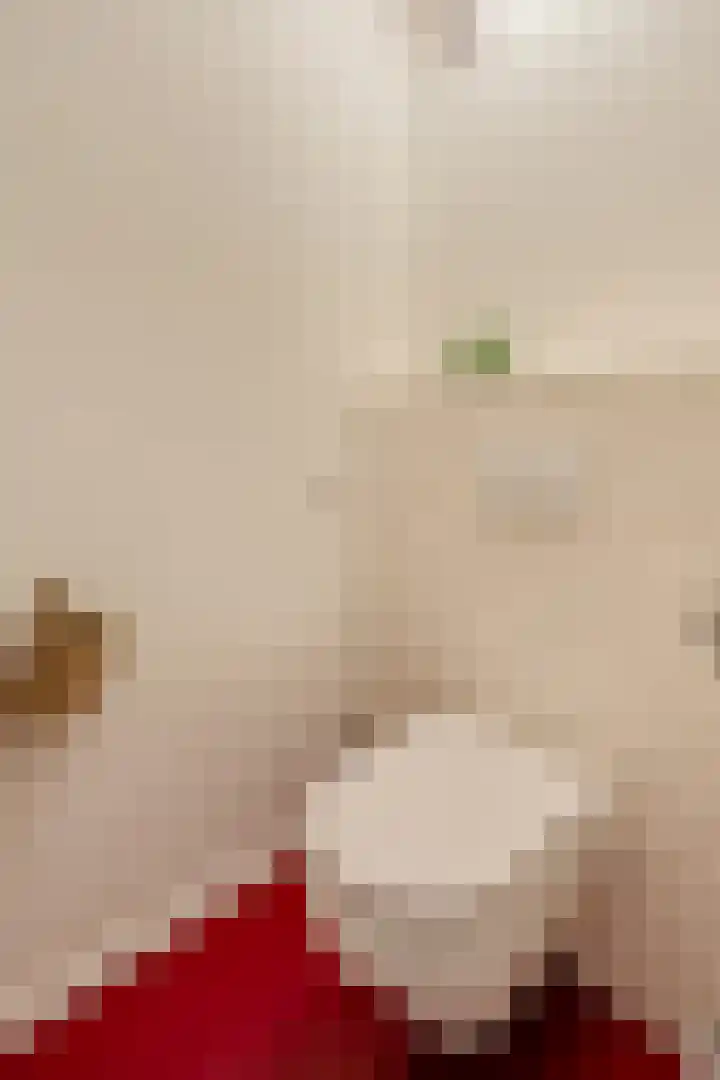 Ruysdaelkade 127 2 Amsterdam thumbnail 19