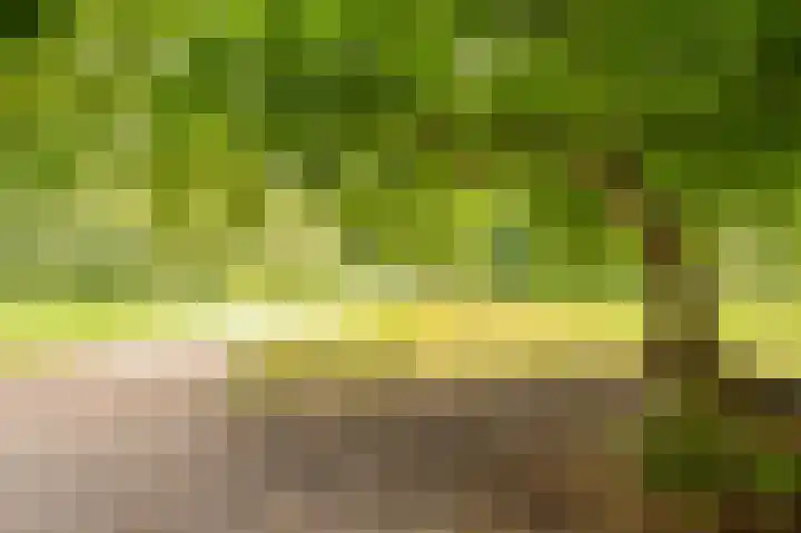 Ruysdaelkade 127 2 Amsterdam thumbnail 24