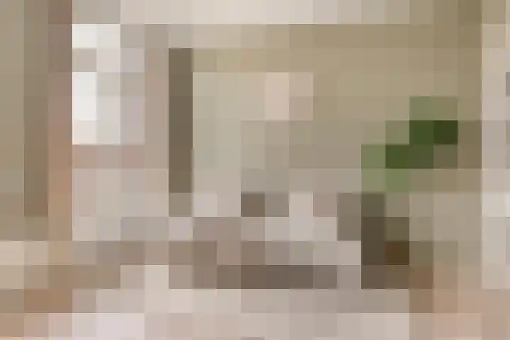 Ruysdaelkade 127 2 Amsterdam thumbnail 5
