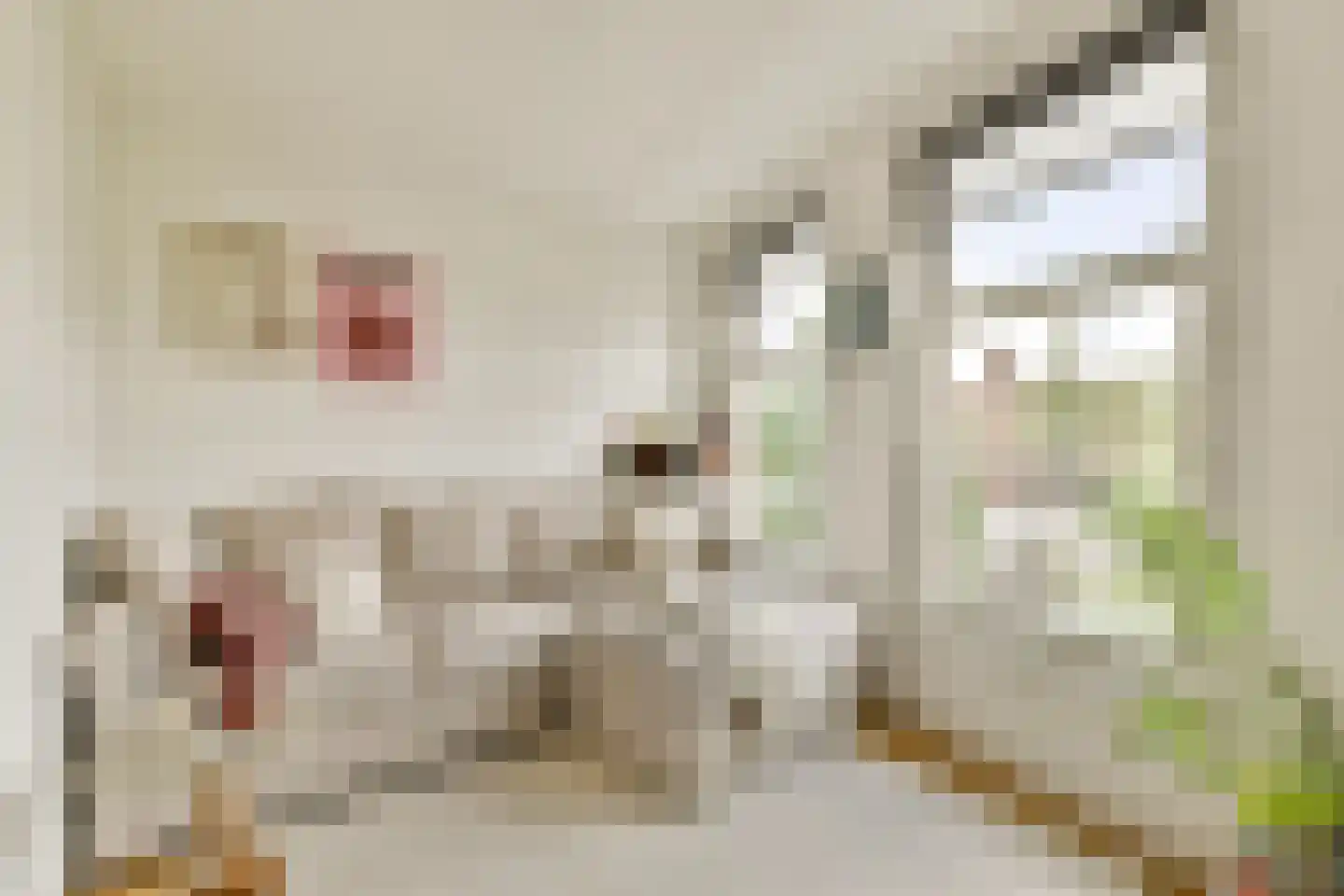 Ruysdaelkade 175 H Amsterdam thumbnail 5