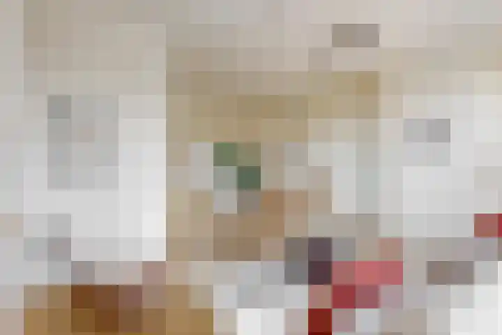 Ruysdaelkade 181 3 Amsterdam thumbnail 7