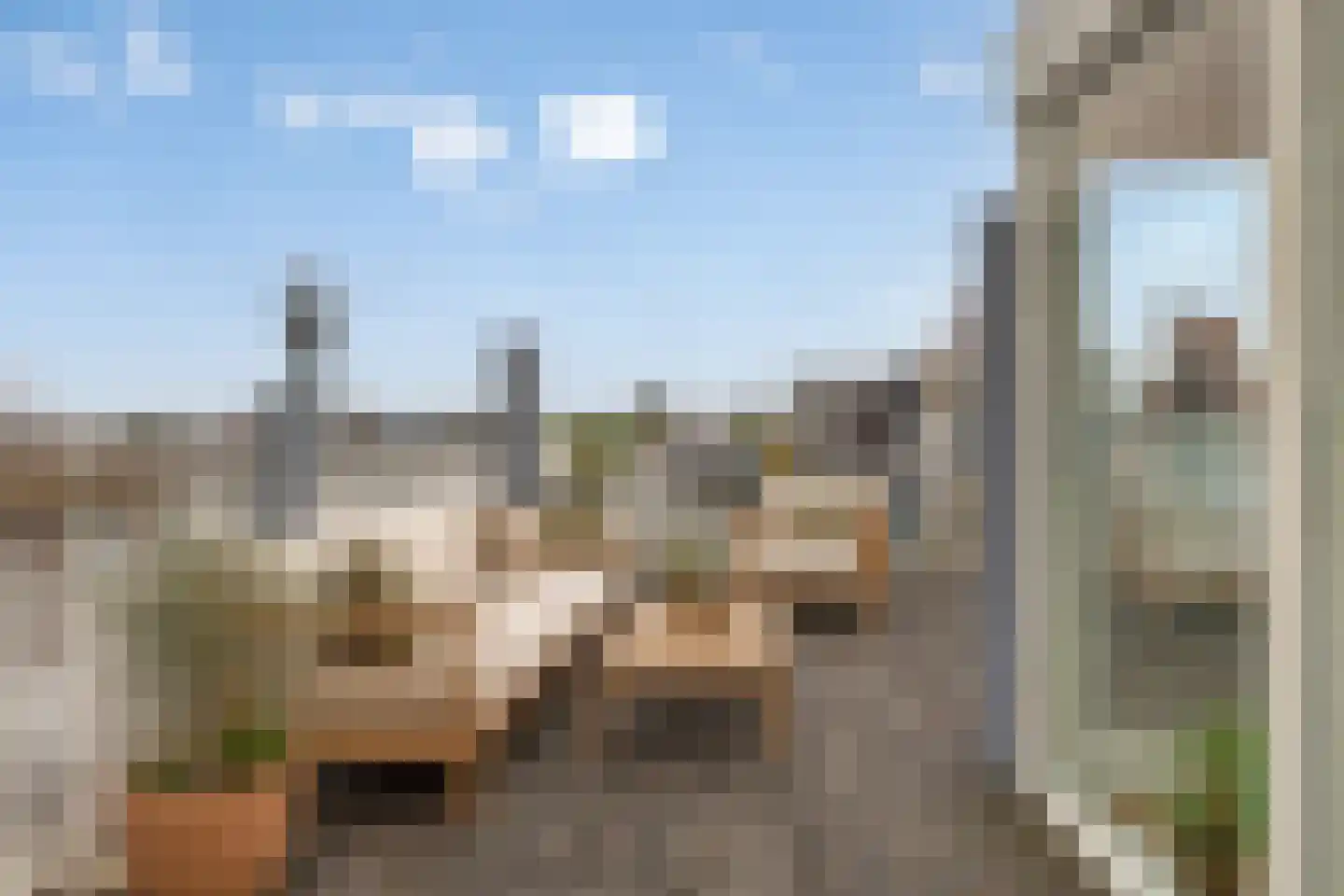 Ruysdaelkade 183 3 Amsterdam thumbnail 22