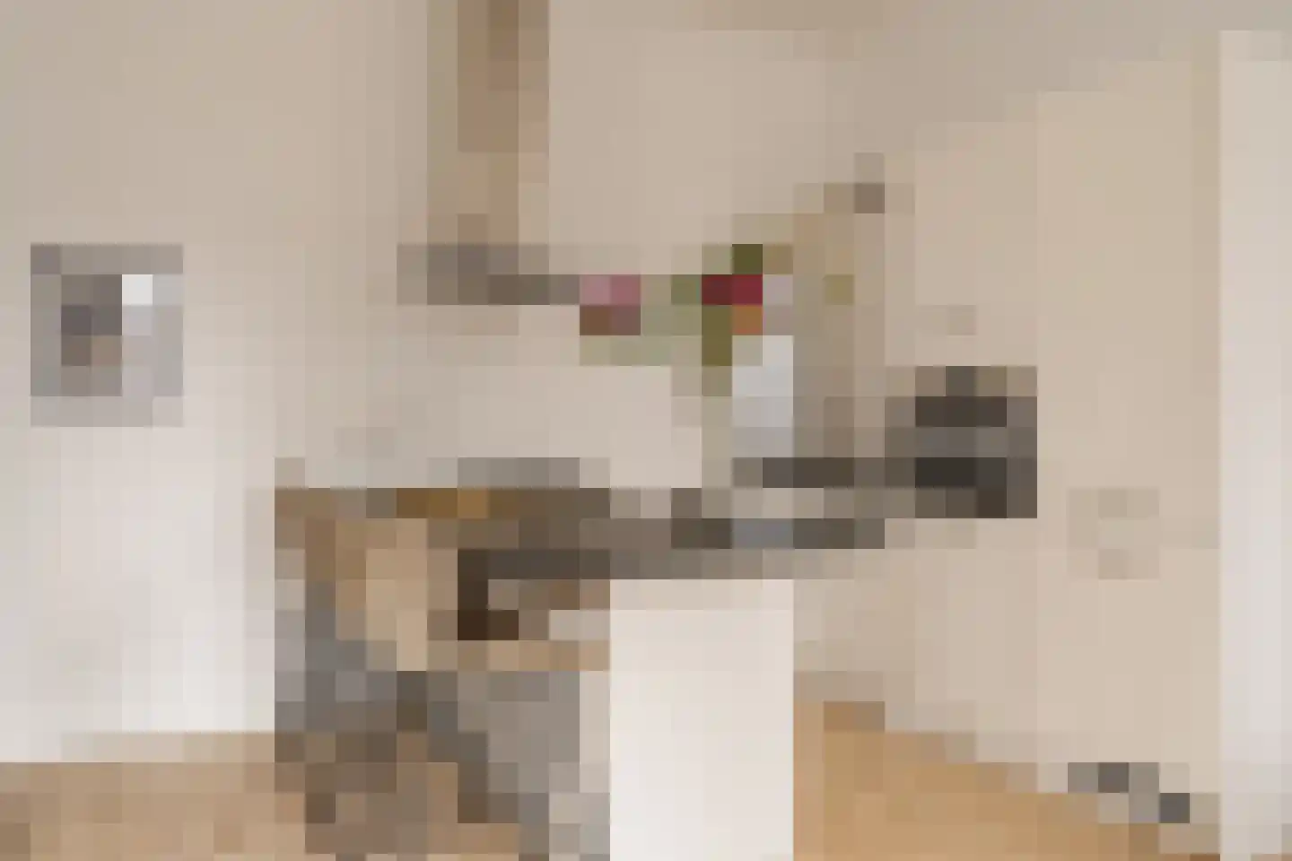 Ruysdaelkade 207 3 Amsterdam thumbnail 4