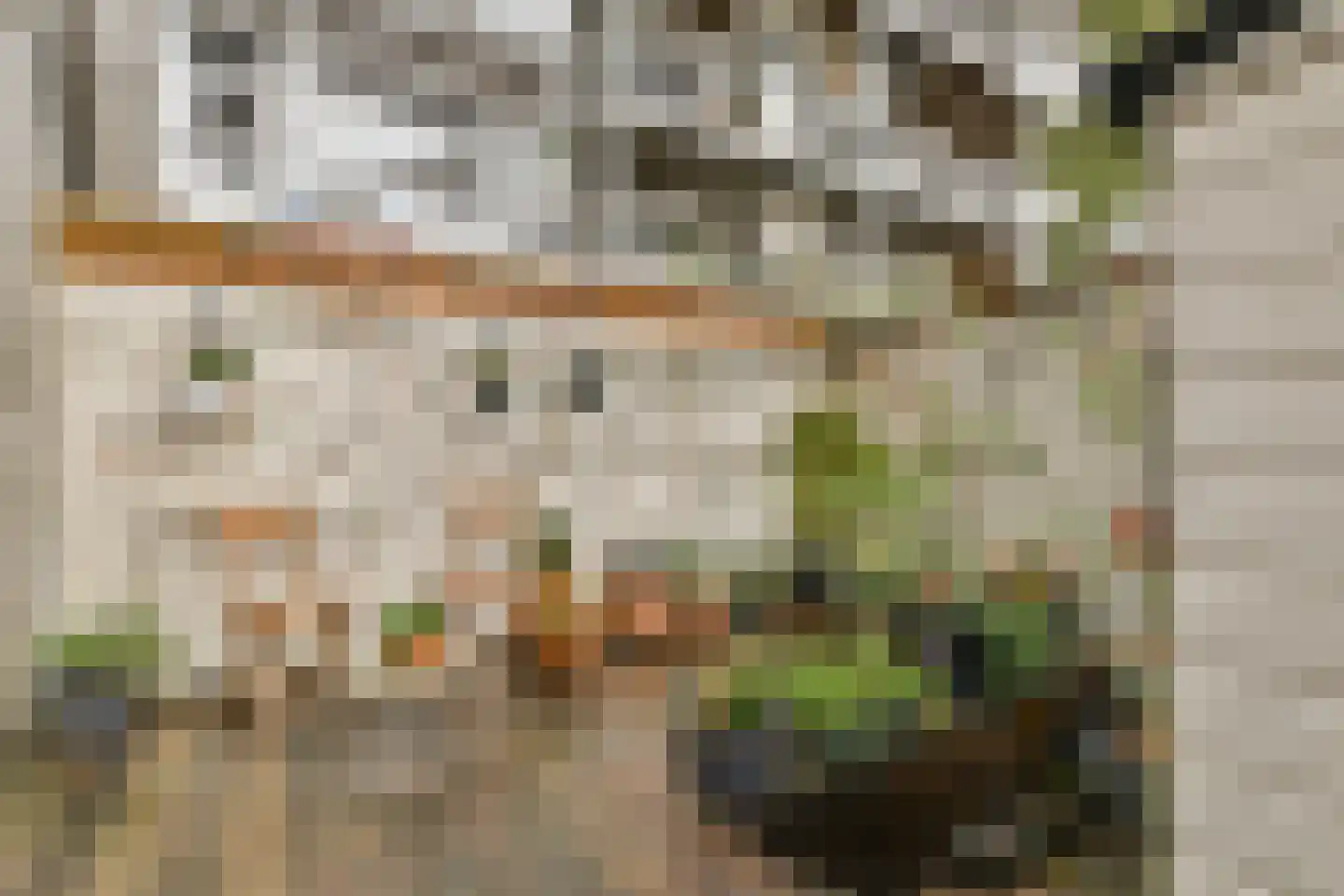 Ruysdaelkade 211 H Amsterdam thumbnail 13