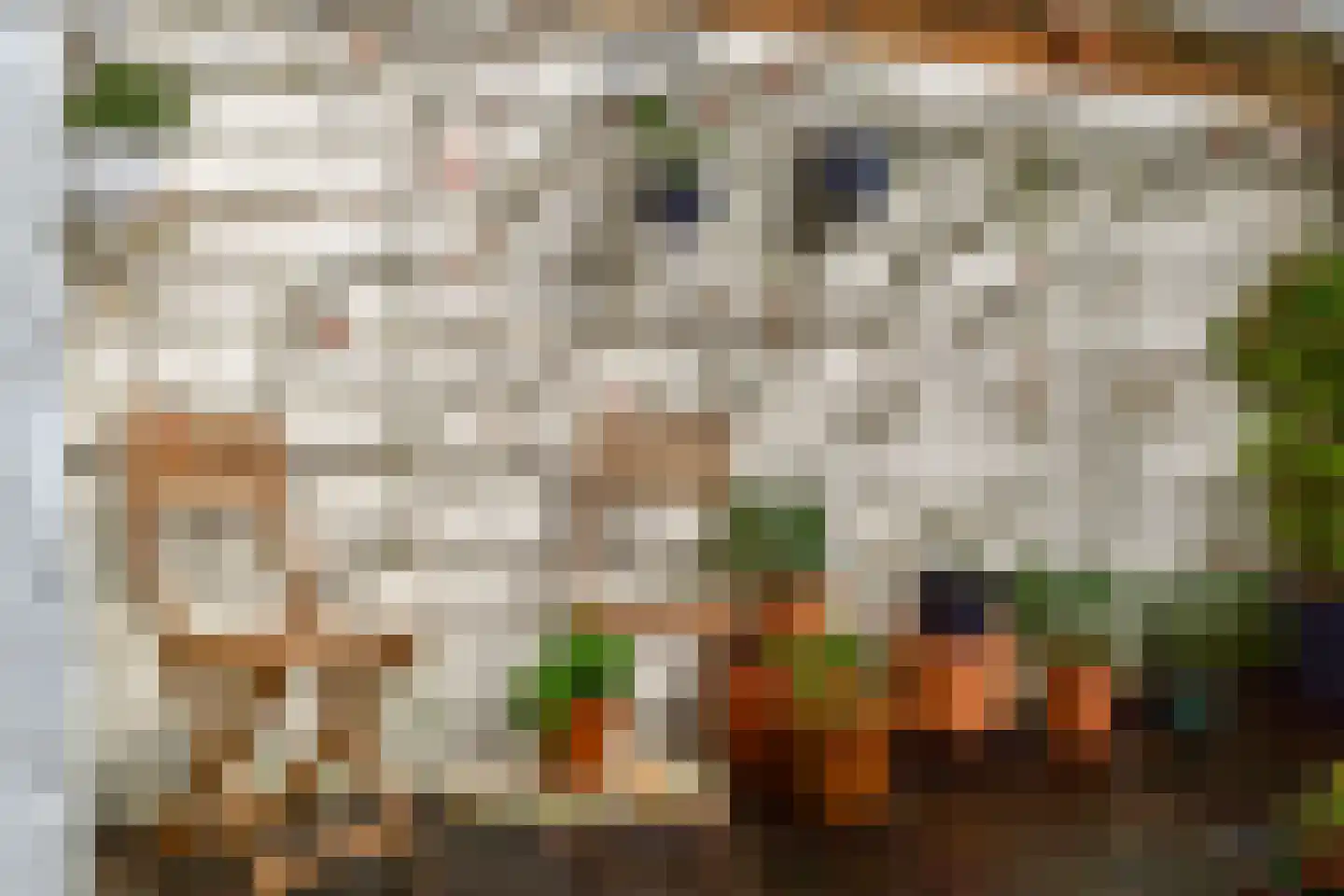 Ruysdaelkade 211 H Amsterdam thumbnail 15
