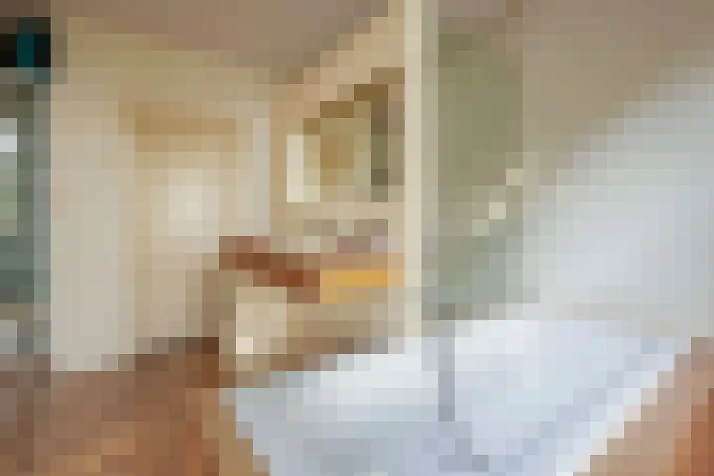 Ruysdaelkade 23 2 Amsterdam thumbnail 11